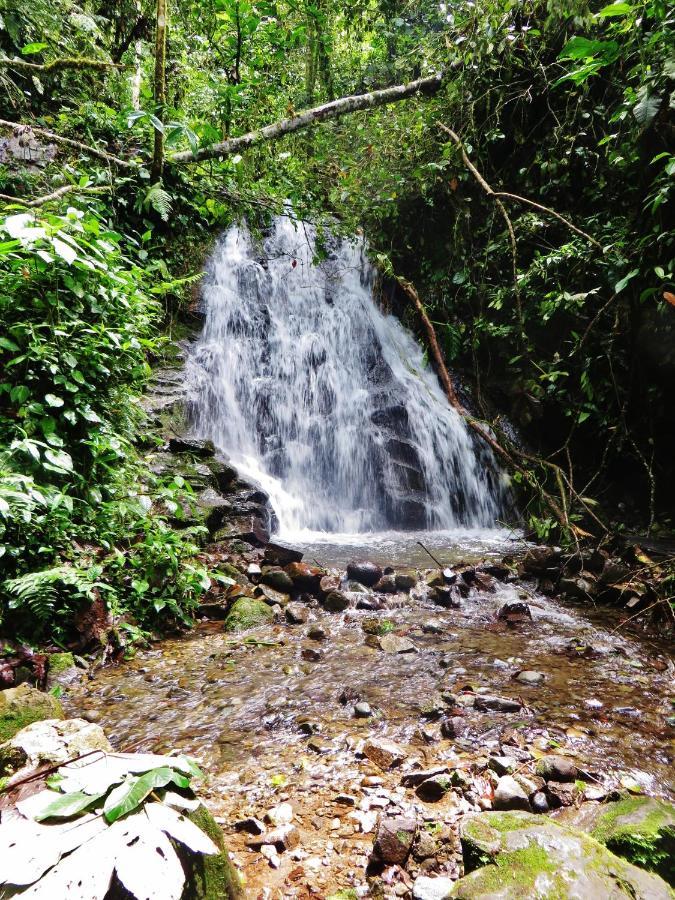 Mindo Eco Chalet Con Rio Y Cascada Exterior foto