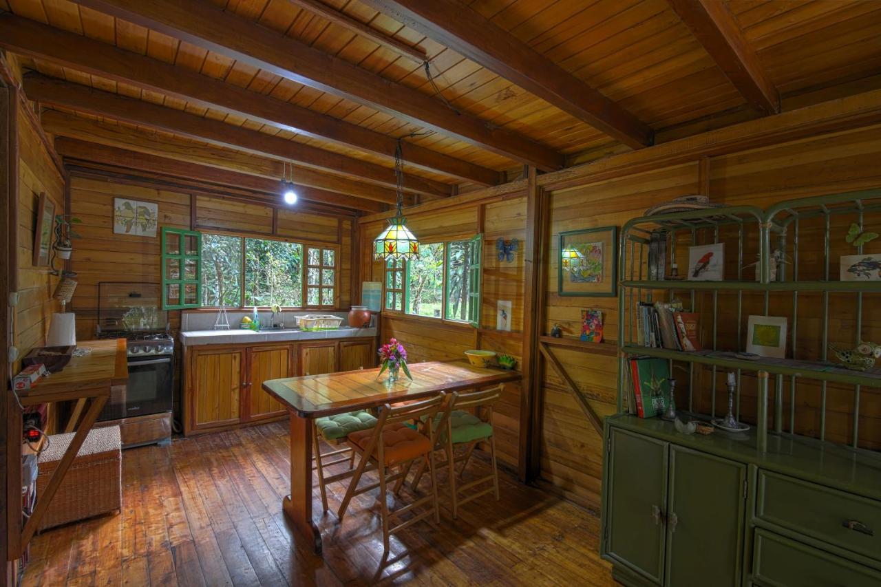 Mindo Eco Chalet Con Rio Y Cascada Exterior foto