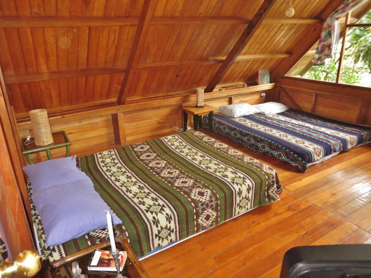 Mindo Eco Chalet Con Rio Y Cascada Exterior foto