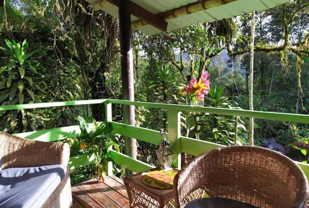 Mindo Eco Chalet Con Rio Y Cascada Exterior foto