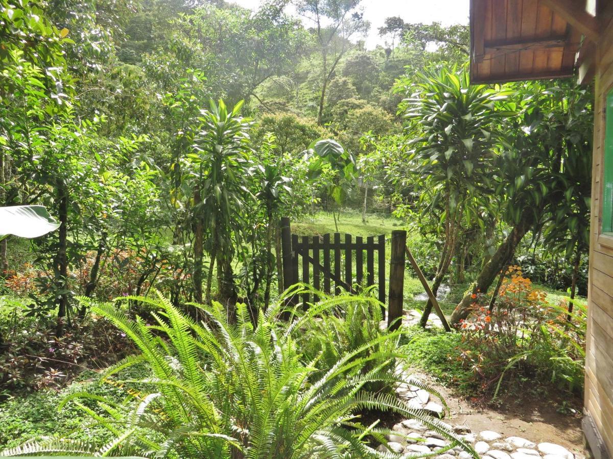 Mindo Eco Chalet Con Rio Y Cascada Exterior foto