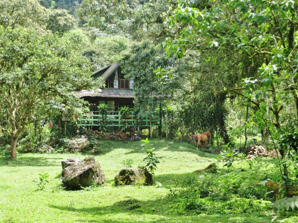 Mindo Eco Chalet Con Rio Y Cascada Exterior foto